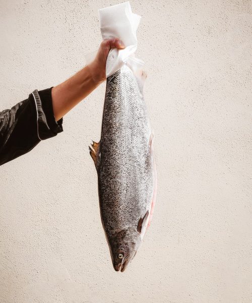 I-Ssushi-08790